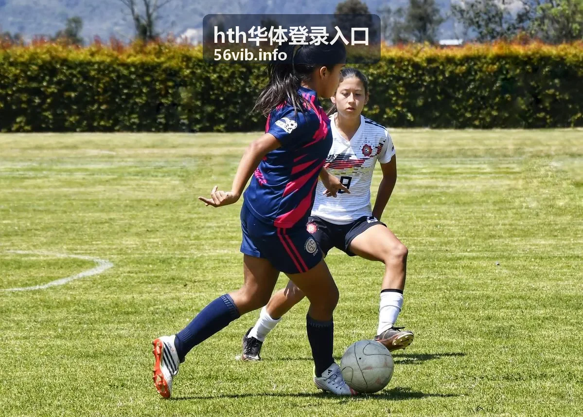 hth华体登录入口赛事资讯数据服务